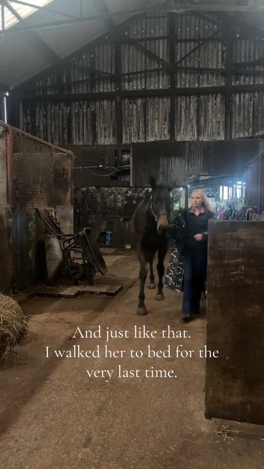 @Emily Hughes 🐴