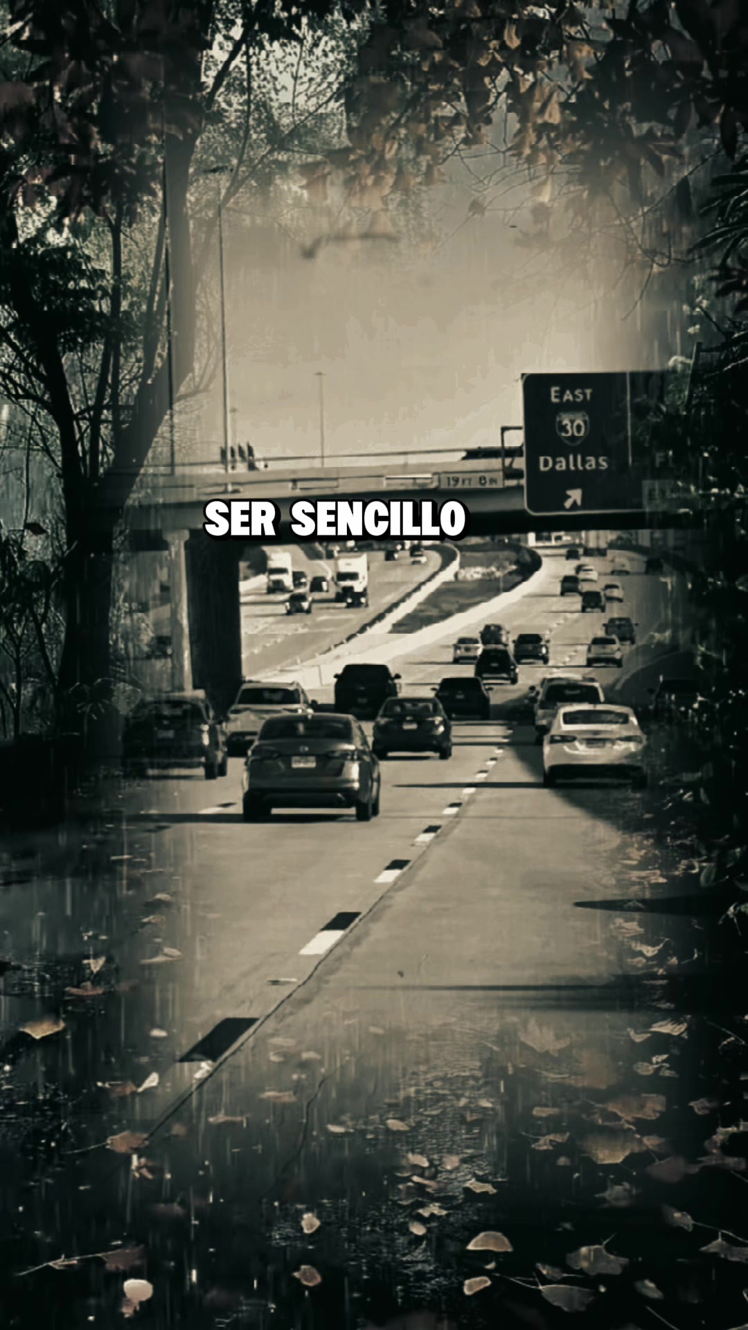 @antonysaavedra55