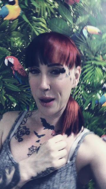 @⚔️🎪 WitchBitch 🎪⚔️