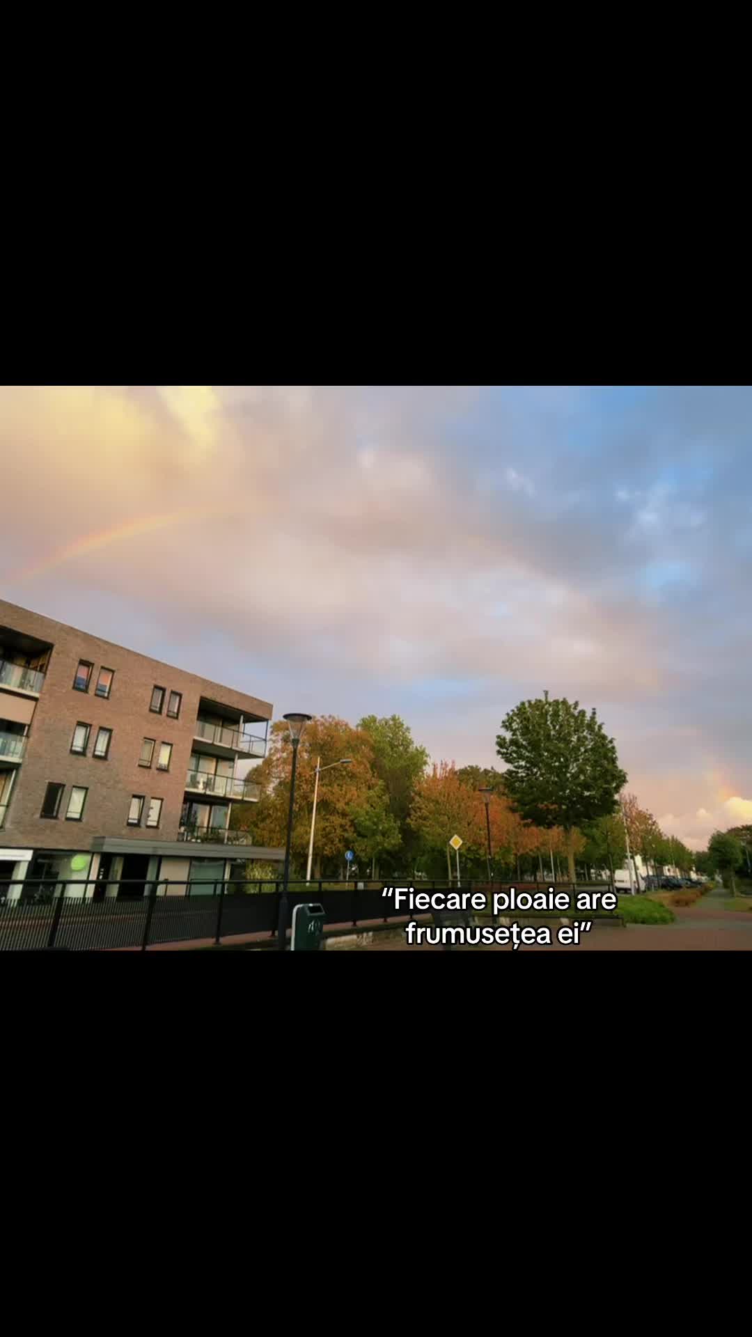 @Bibi🐒