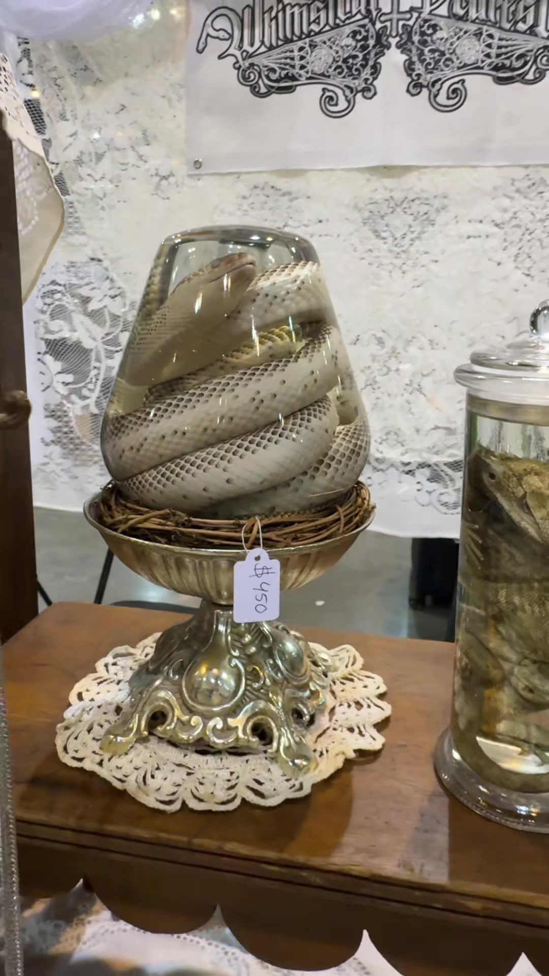 @Oddities & Curiosities Expo