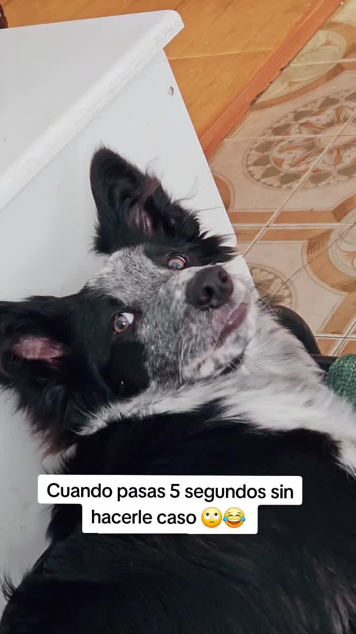 @Lore