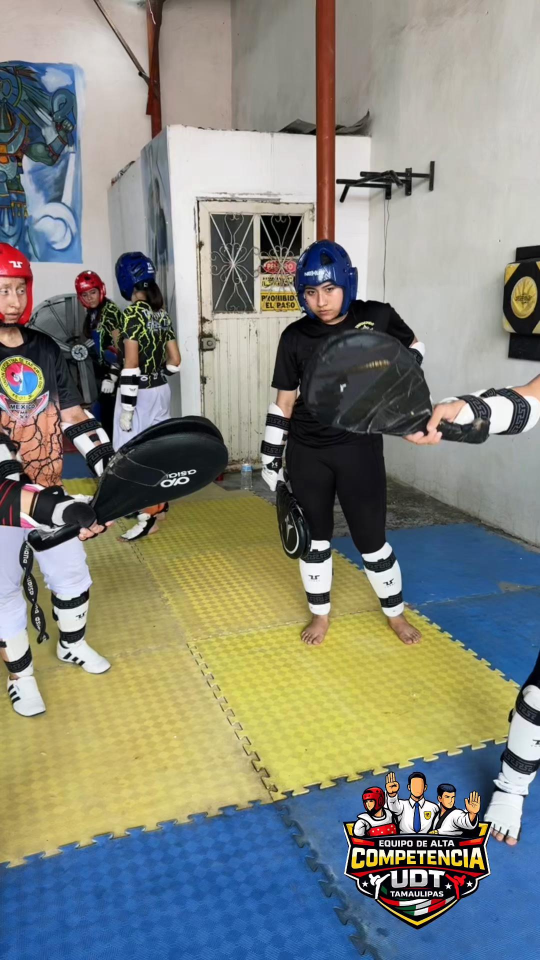 @taekwondolionsteam