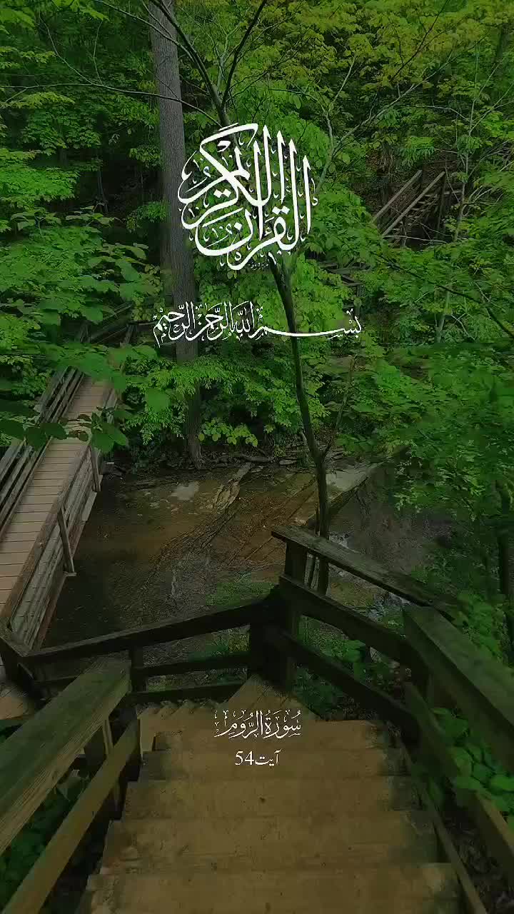 @🦋𝓝ᴏᴏʀᴜʟᴀɪɴ🕊