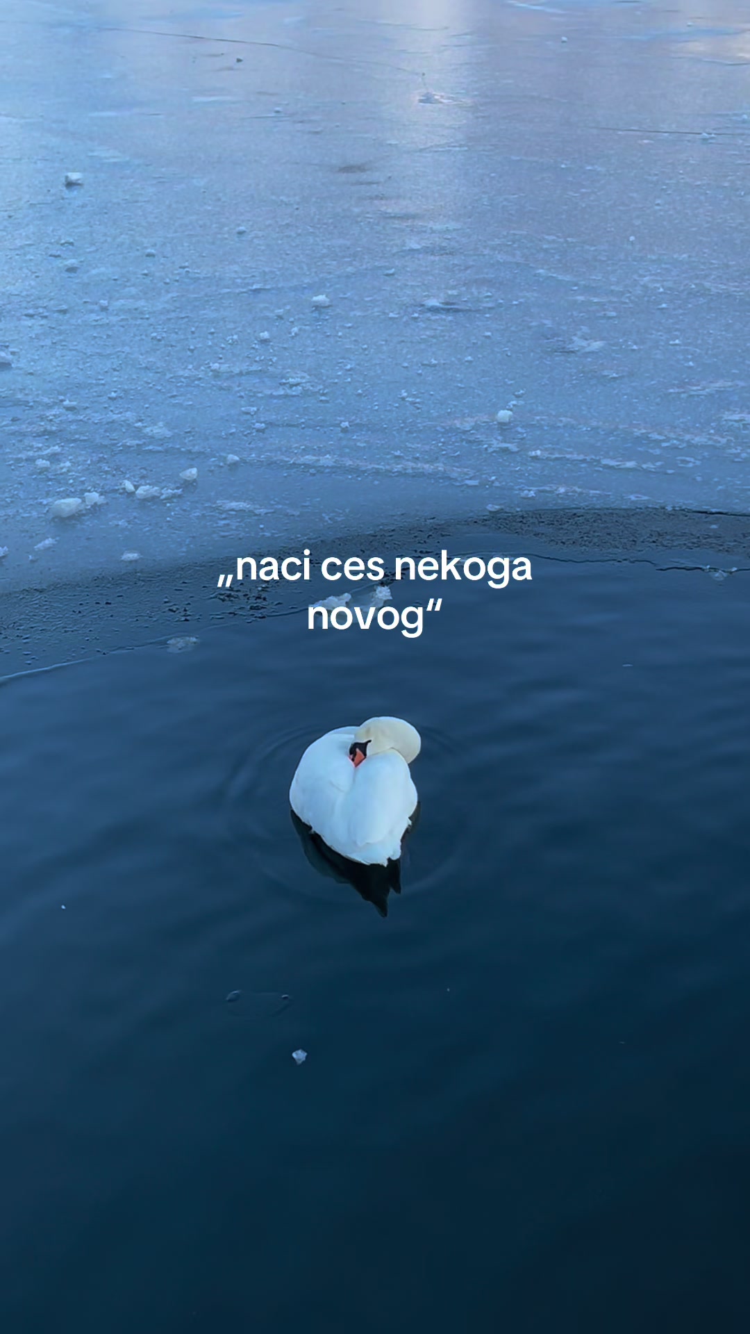 @стефан