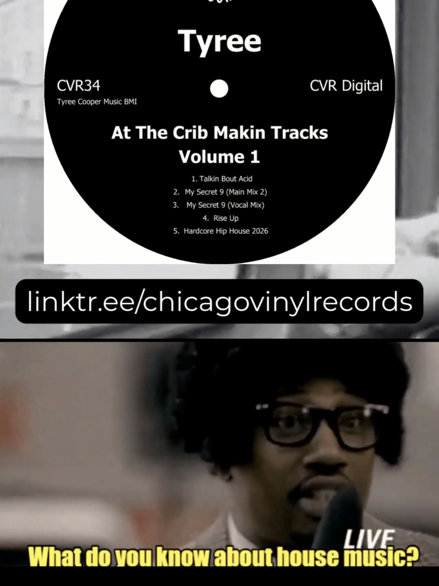 @Chicago Vinyl Records