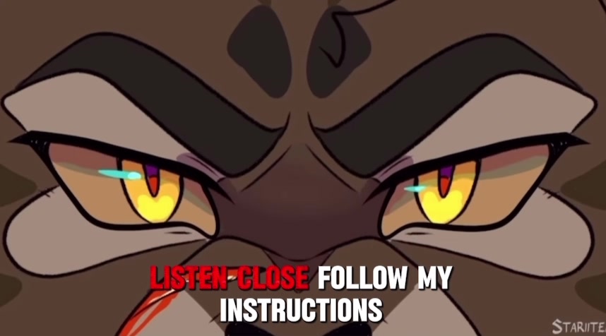 @𝐖𝐚𝐫𝐫𝐢𝐨𝐫 𝐜𝐚𝐭𝐬🐈🐈⬛