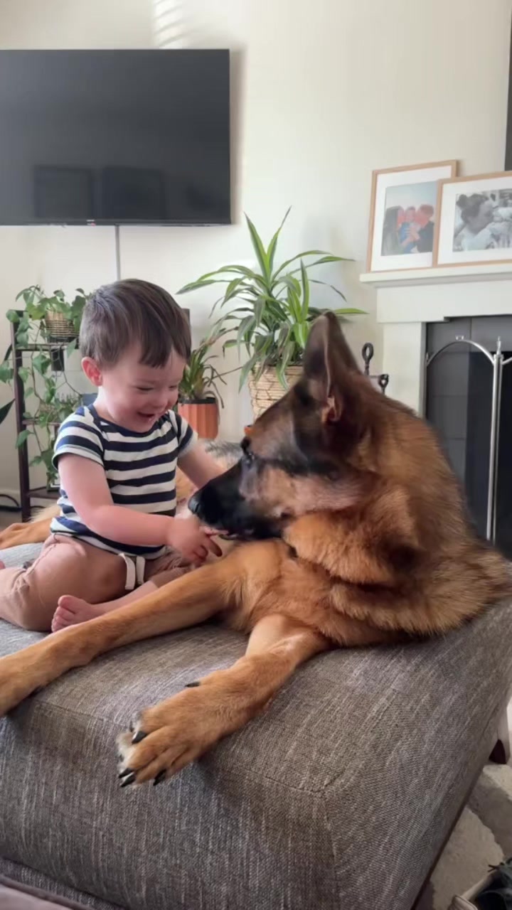 @Funny Cute