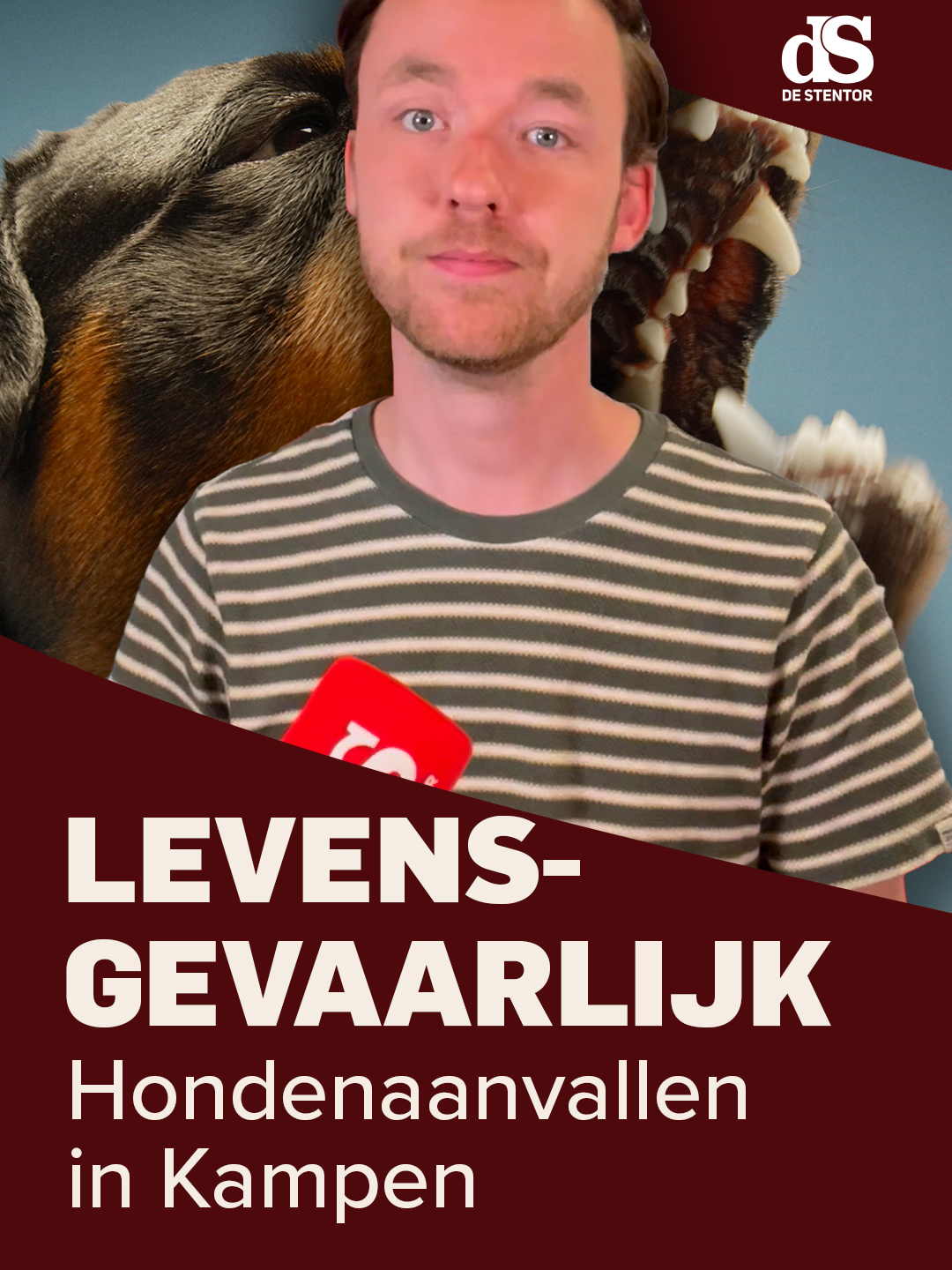 @De Stentor