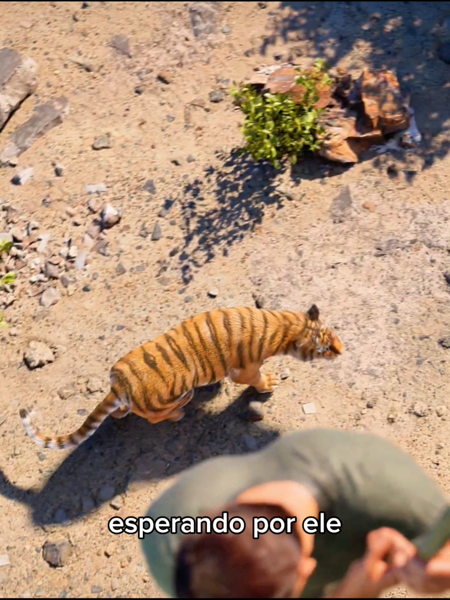 @Curiosity