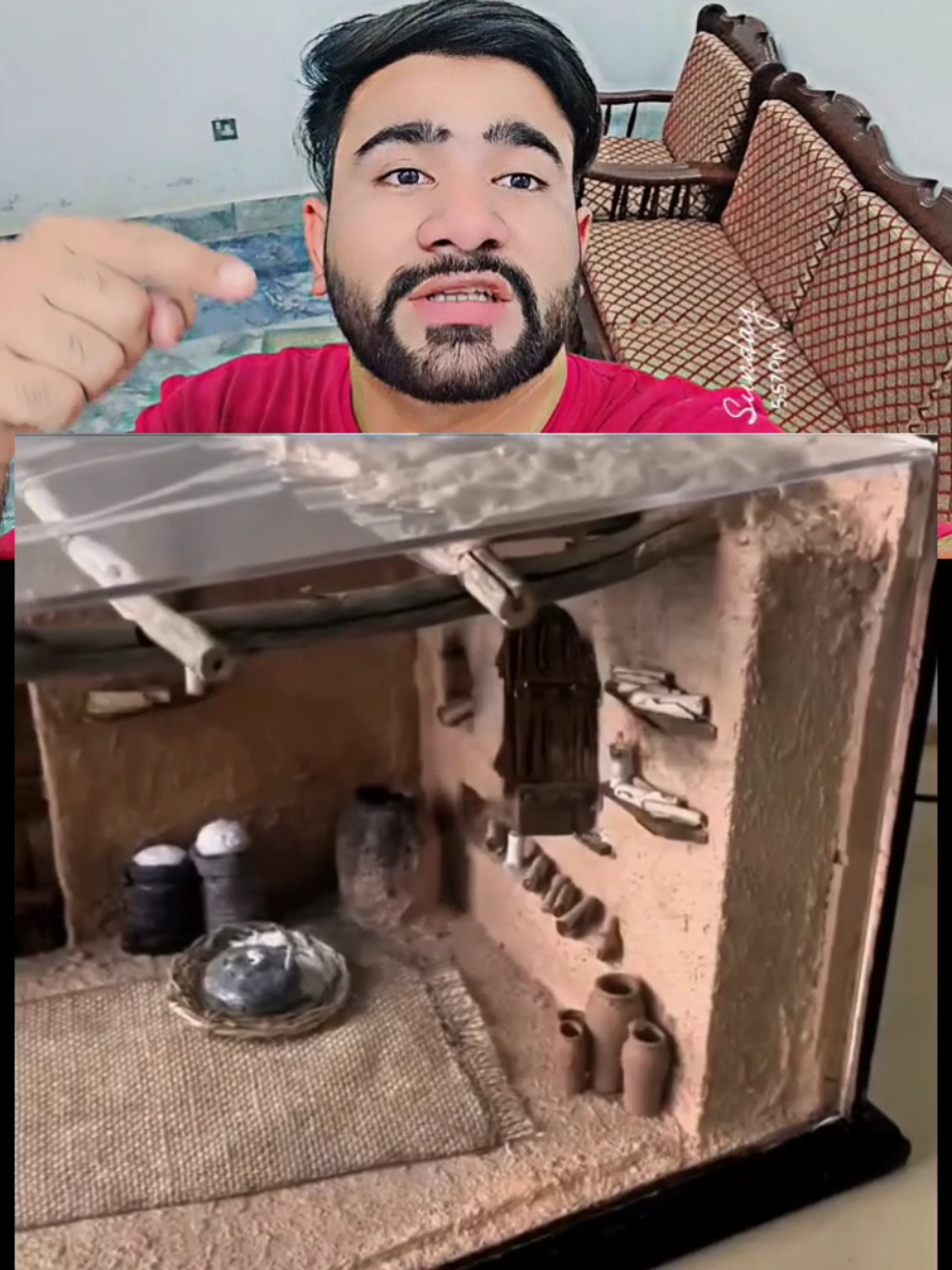 @manoreacts