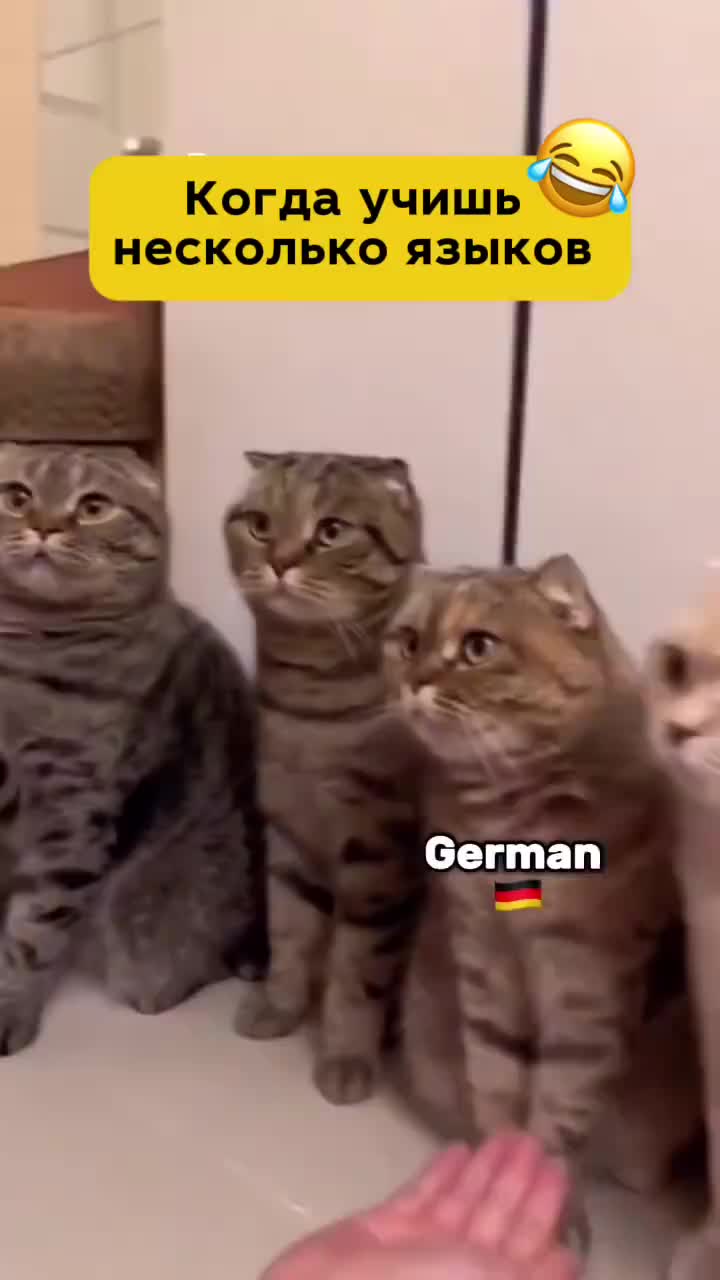 @Немецкий язык