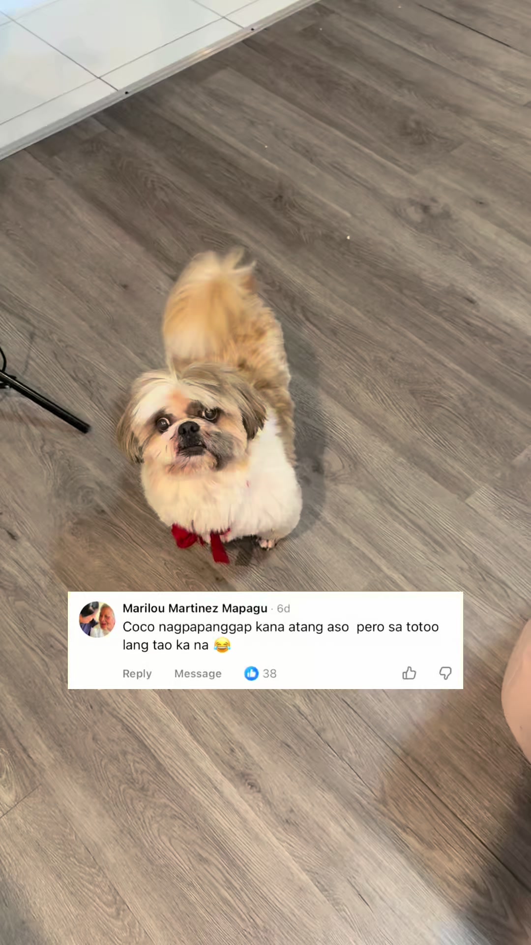 @FURMOMKHAI&BATUTA ONLY ACCT‼️