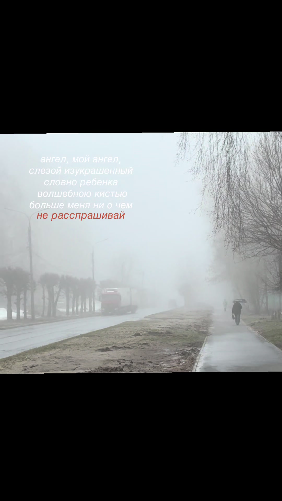 @тг:твой покой