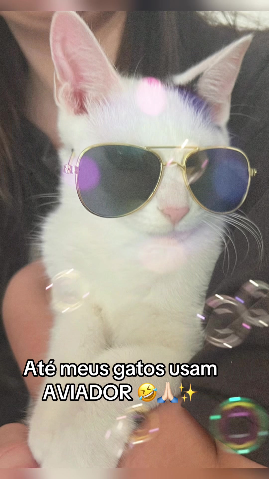 @Adriana Sawada