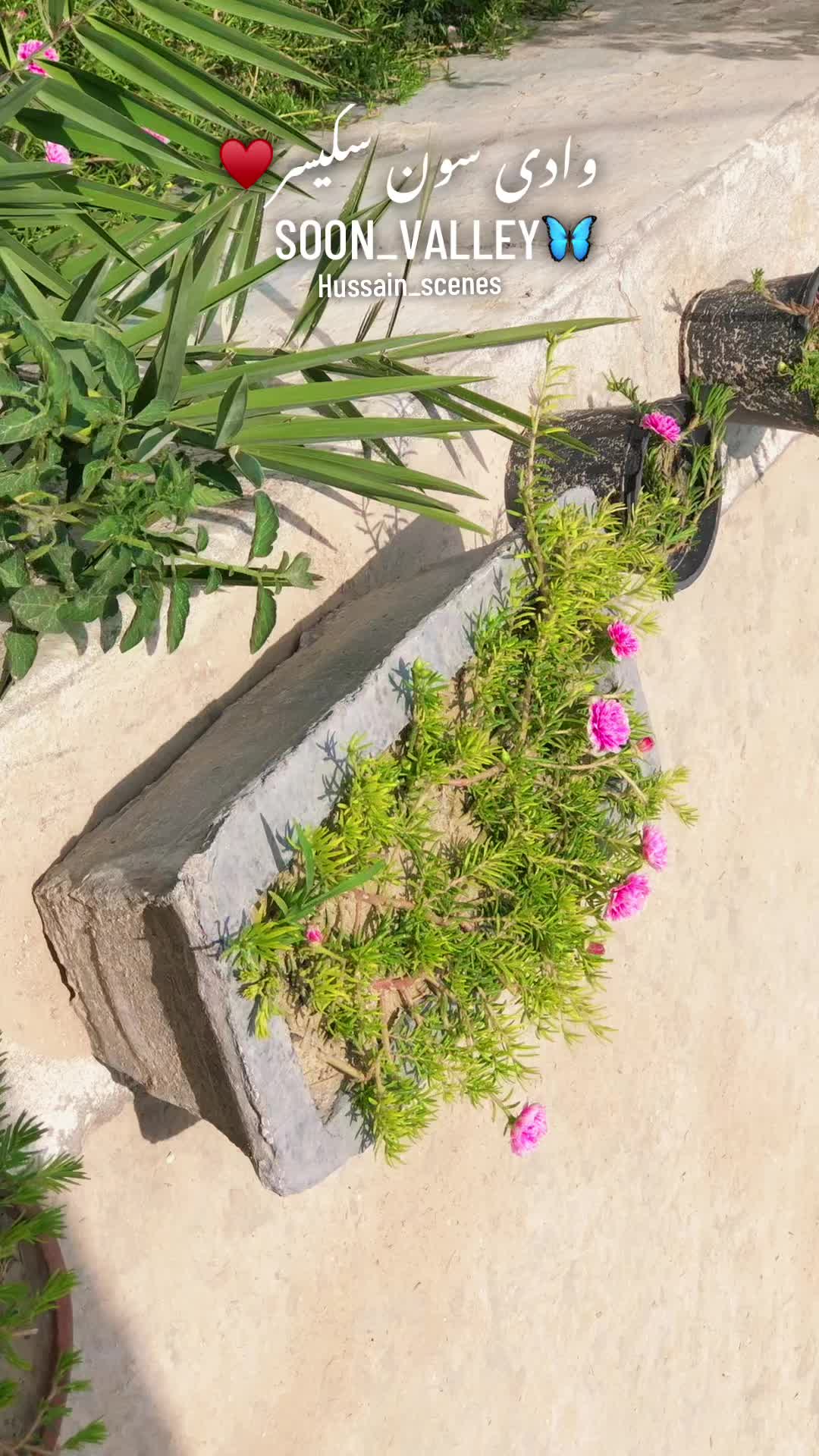 @میں اور میرا گاوں