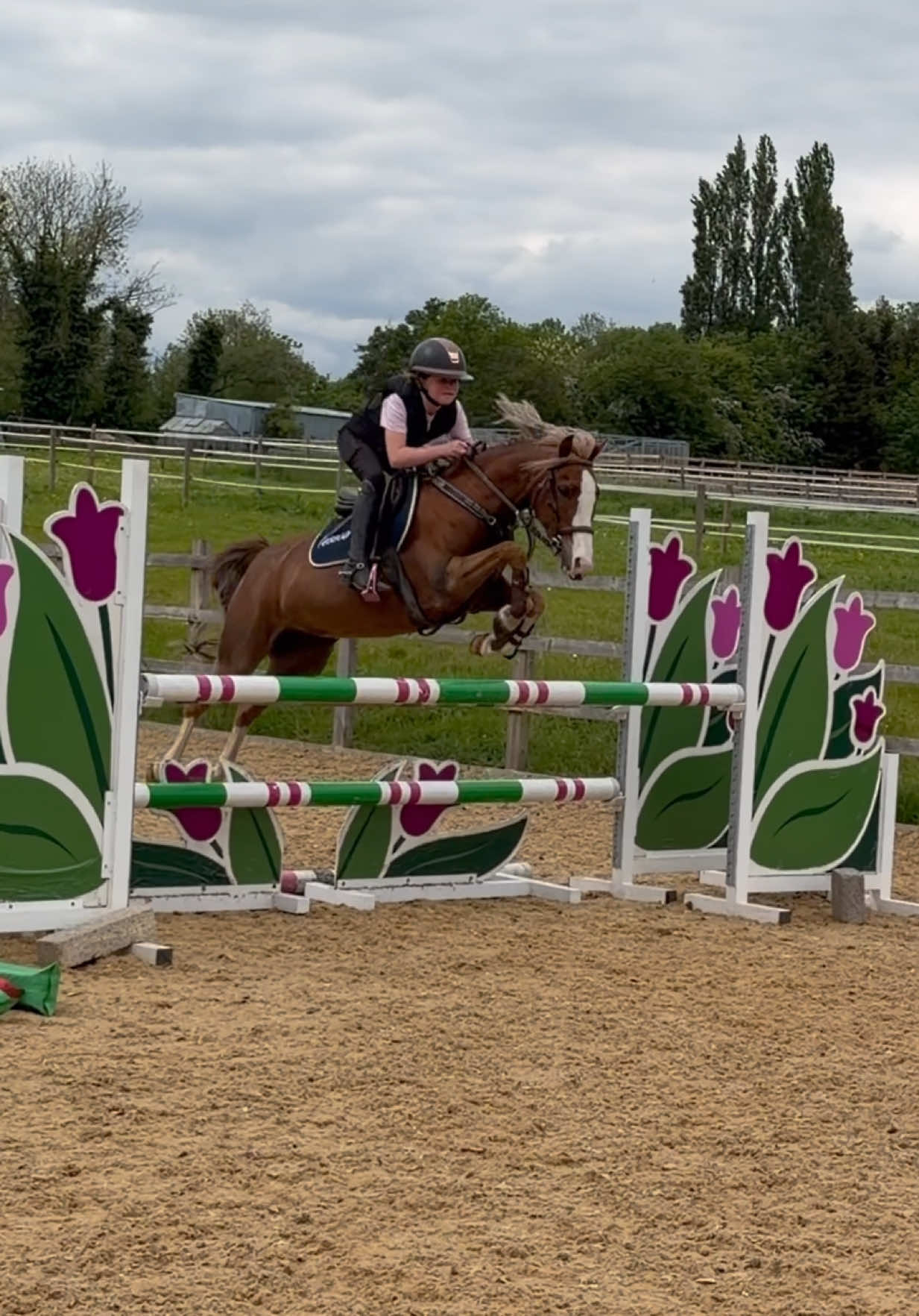 @Jumping With Ivy
