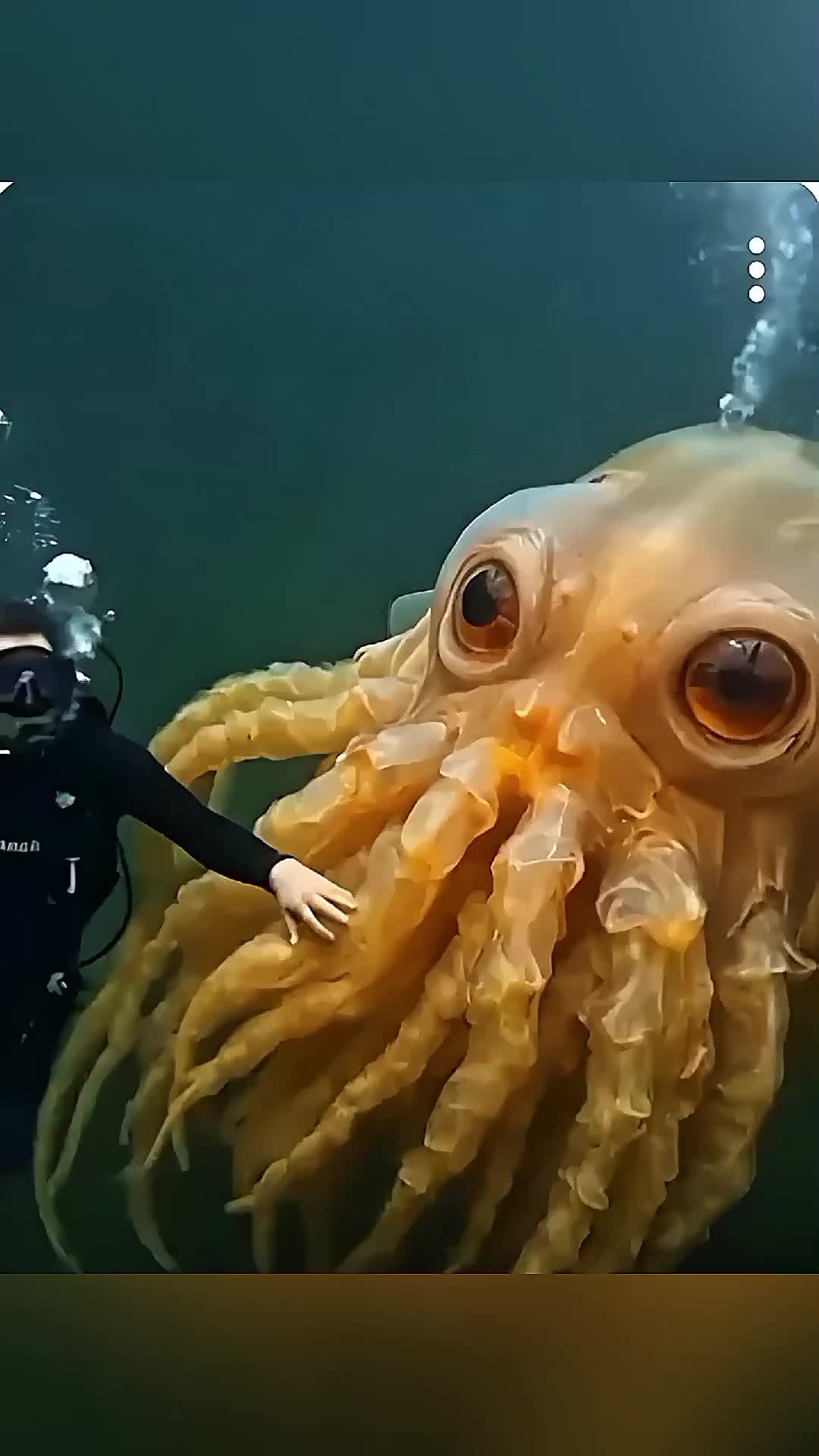 @Sea monsters