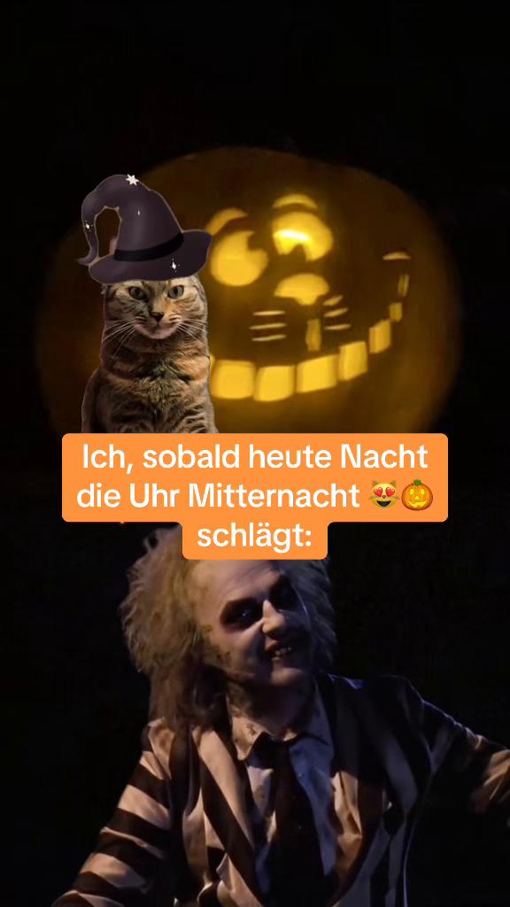 @Fellbande😻 🐾& Dosi Ulrike😽