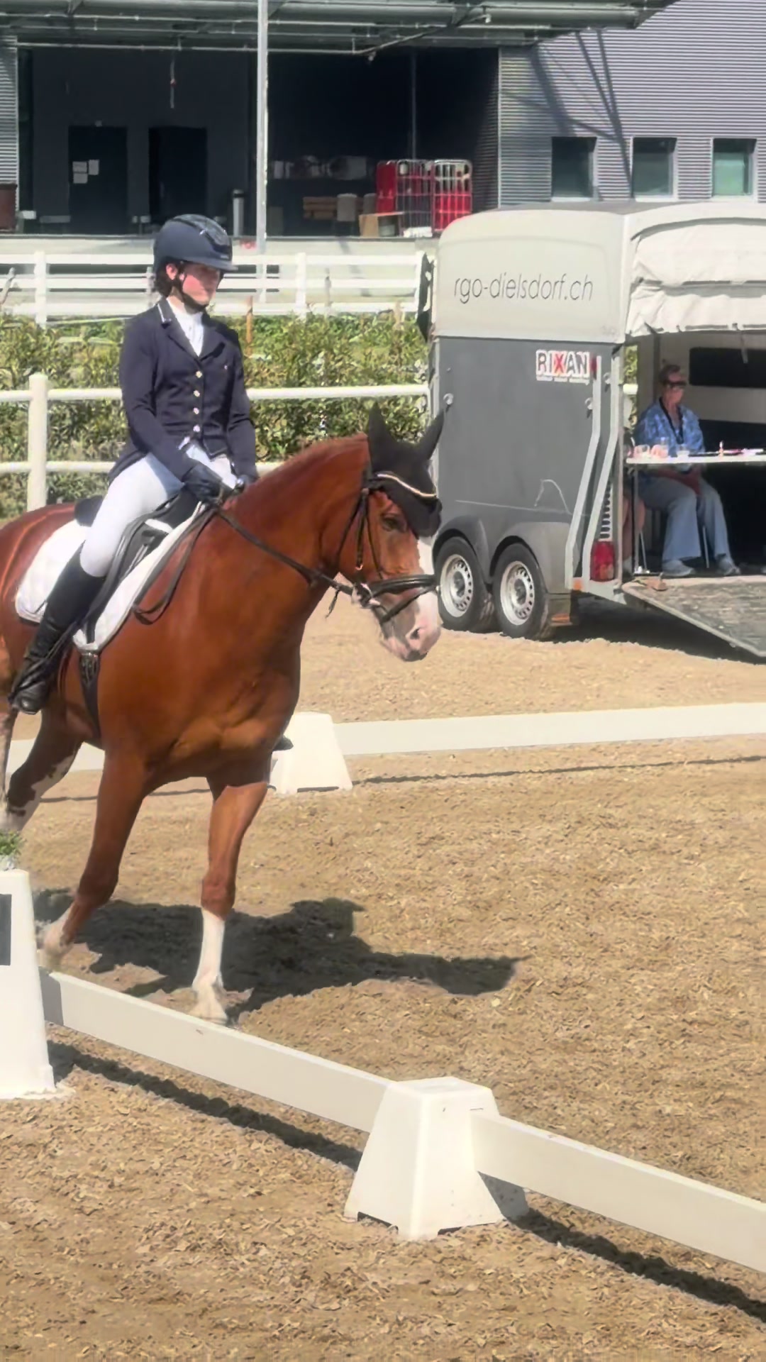 @_.coldblood.dressage_
