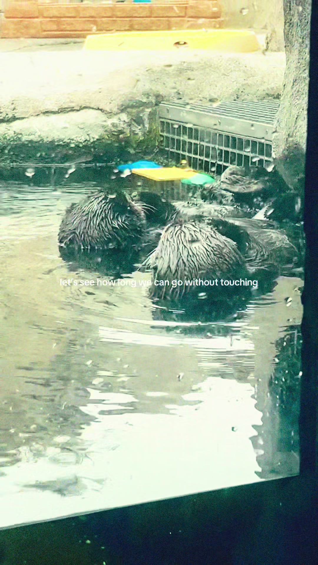 @becca🧜♀️
