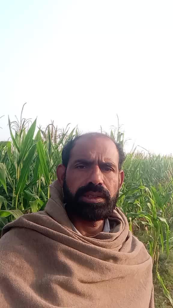 @Sahfaq Ali