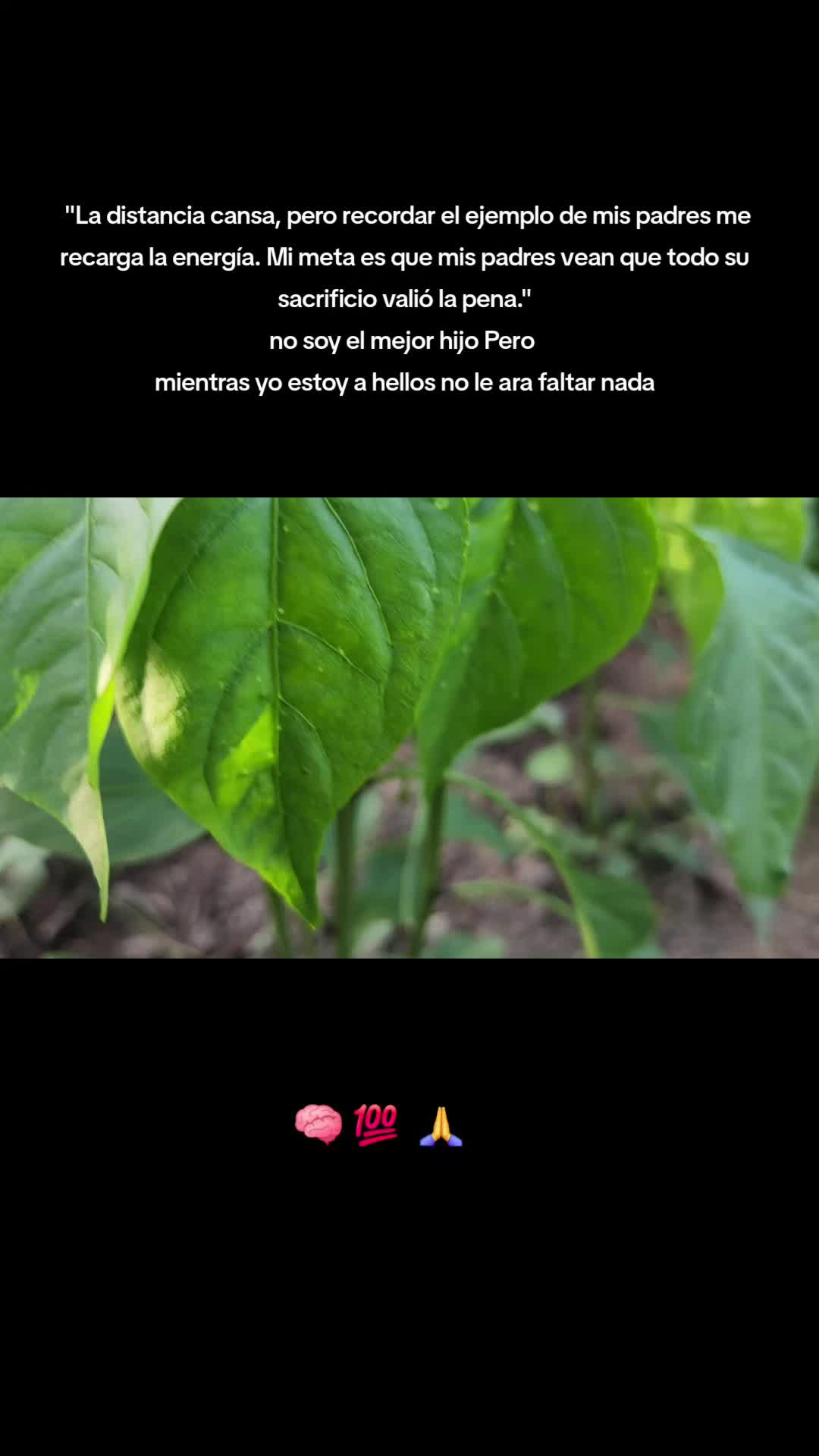 @𝙇𝙪𝙞𝙞502👨🌾