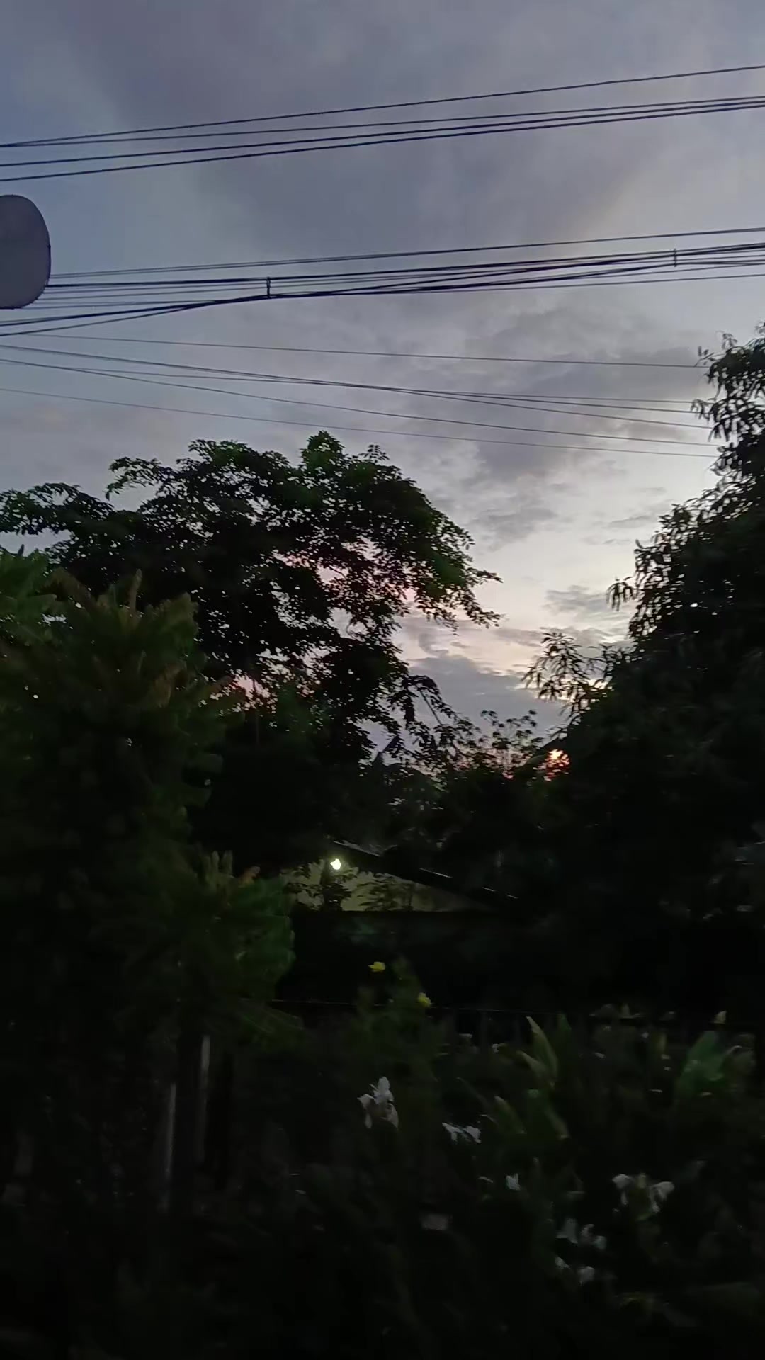 @pranee