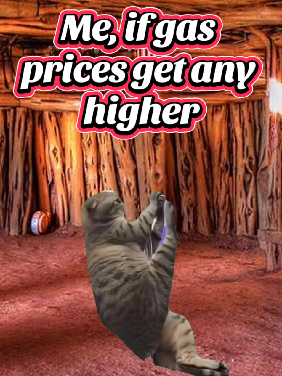 @𝓛𝔂𝓷𝓷 🪷