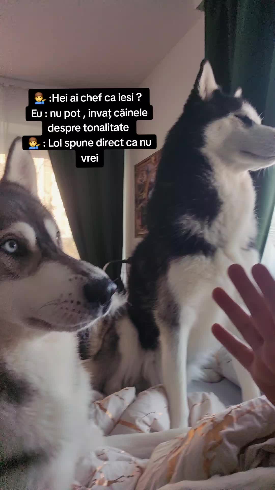 @Froschy