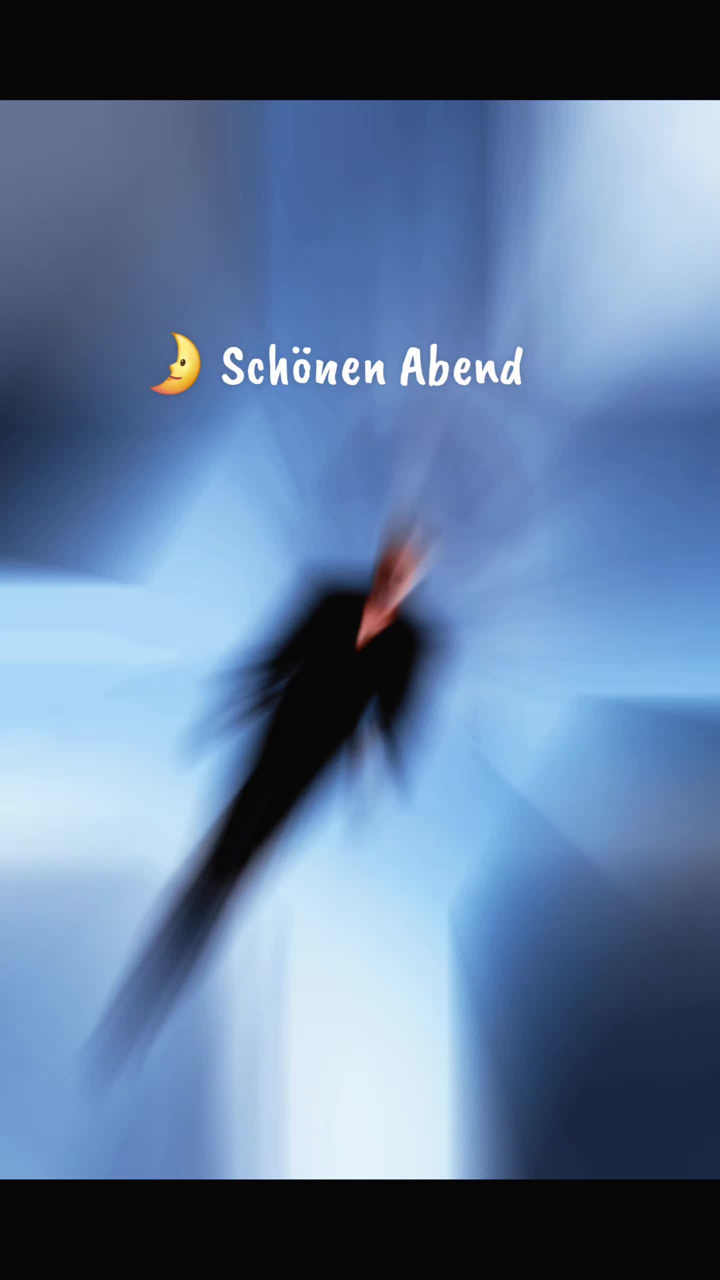 @Scholli
