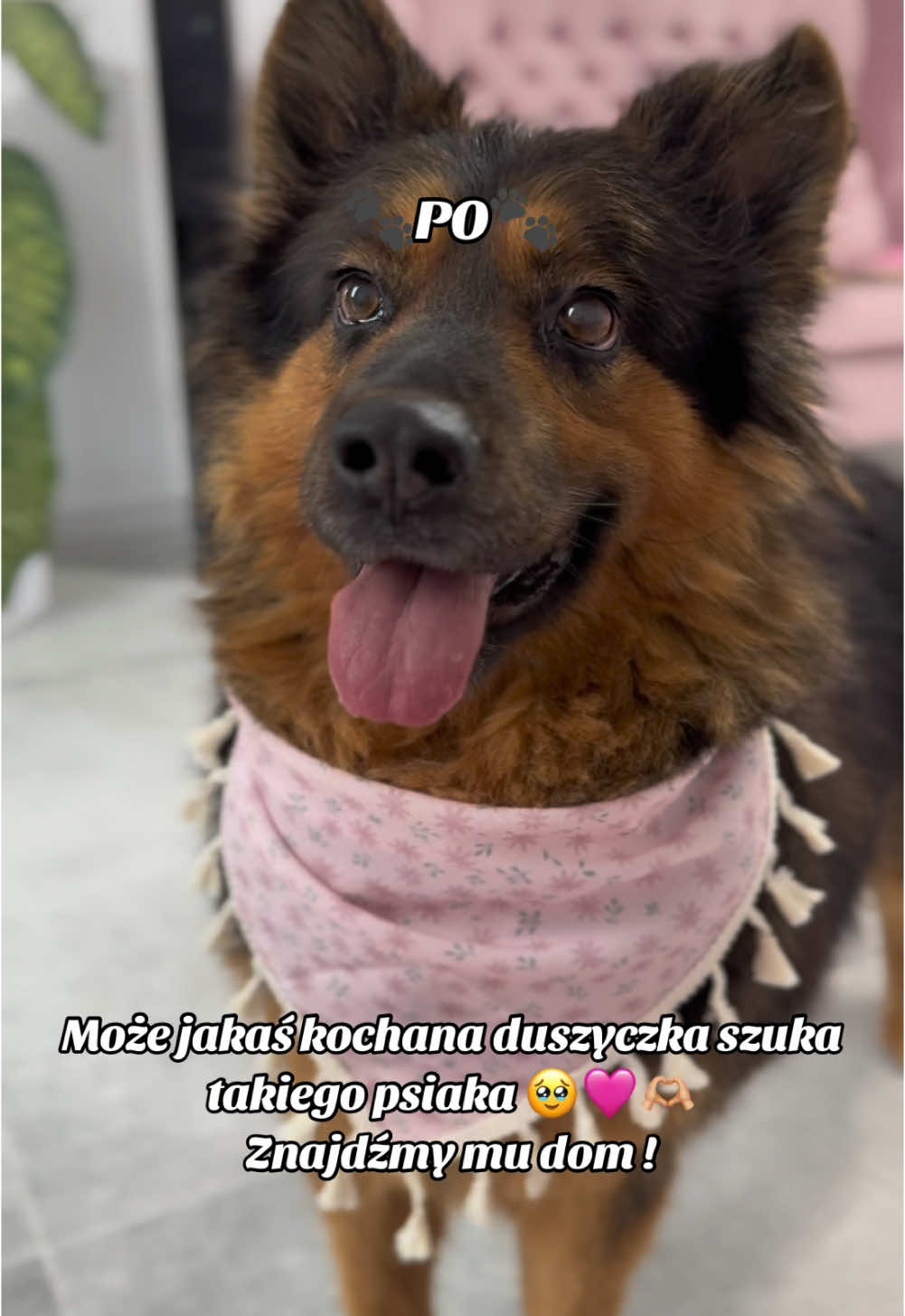 @Zuzanna Sosińska🤍✨