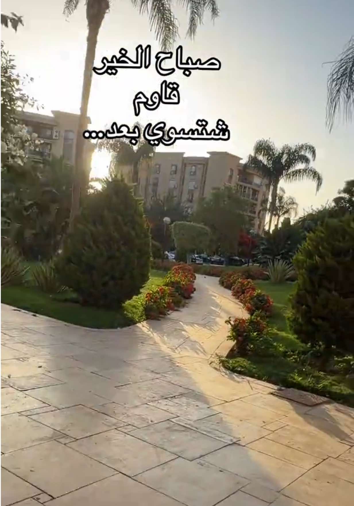 @Hala Firas Abo