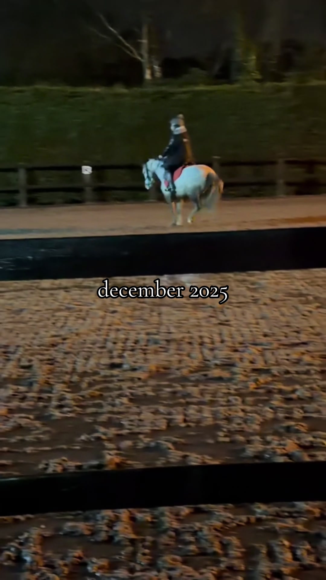 @poppy🐴 🇬🇧
