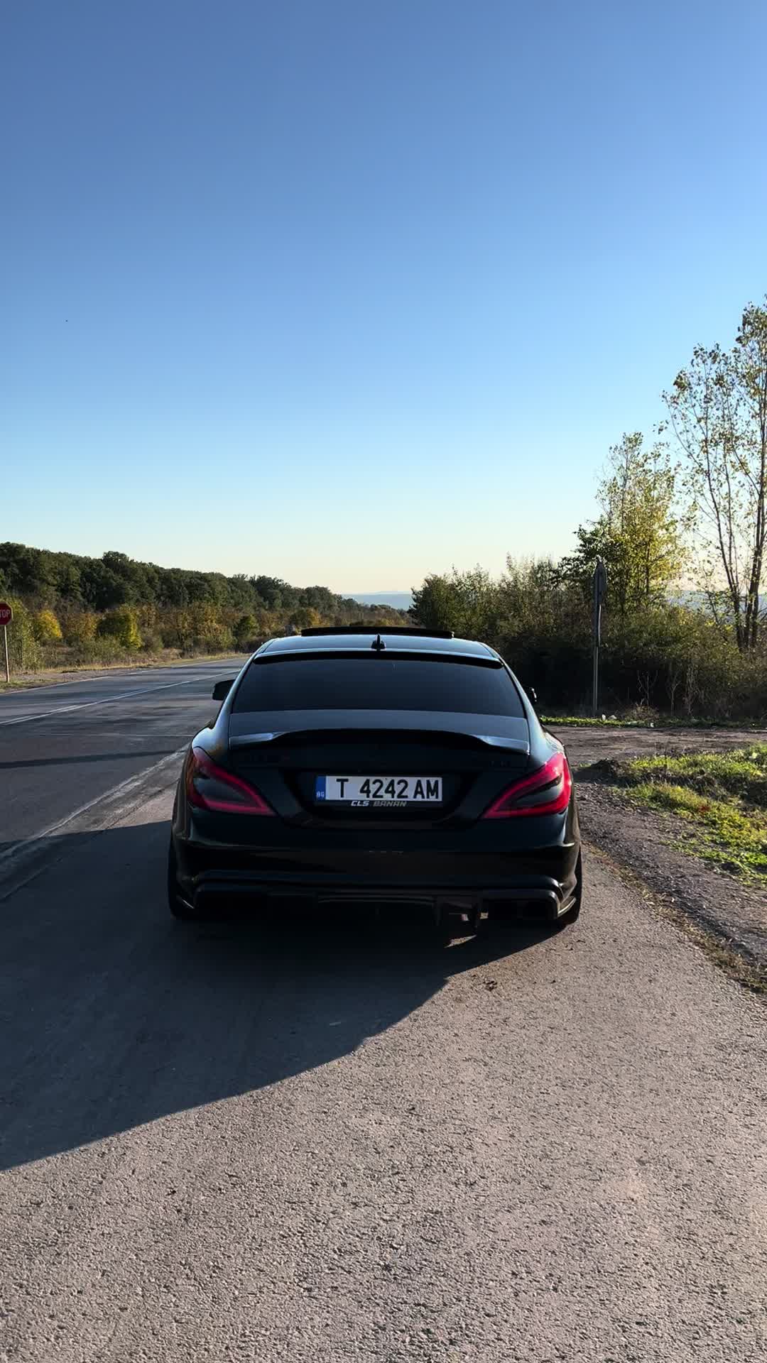 @sevginskii