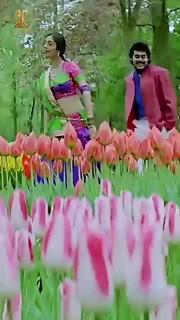 @💘💘 காதல் நிலா 💘 💘