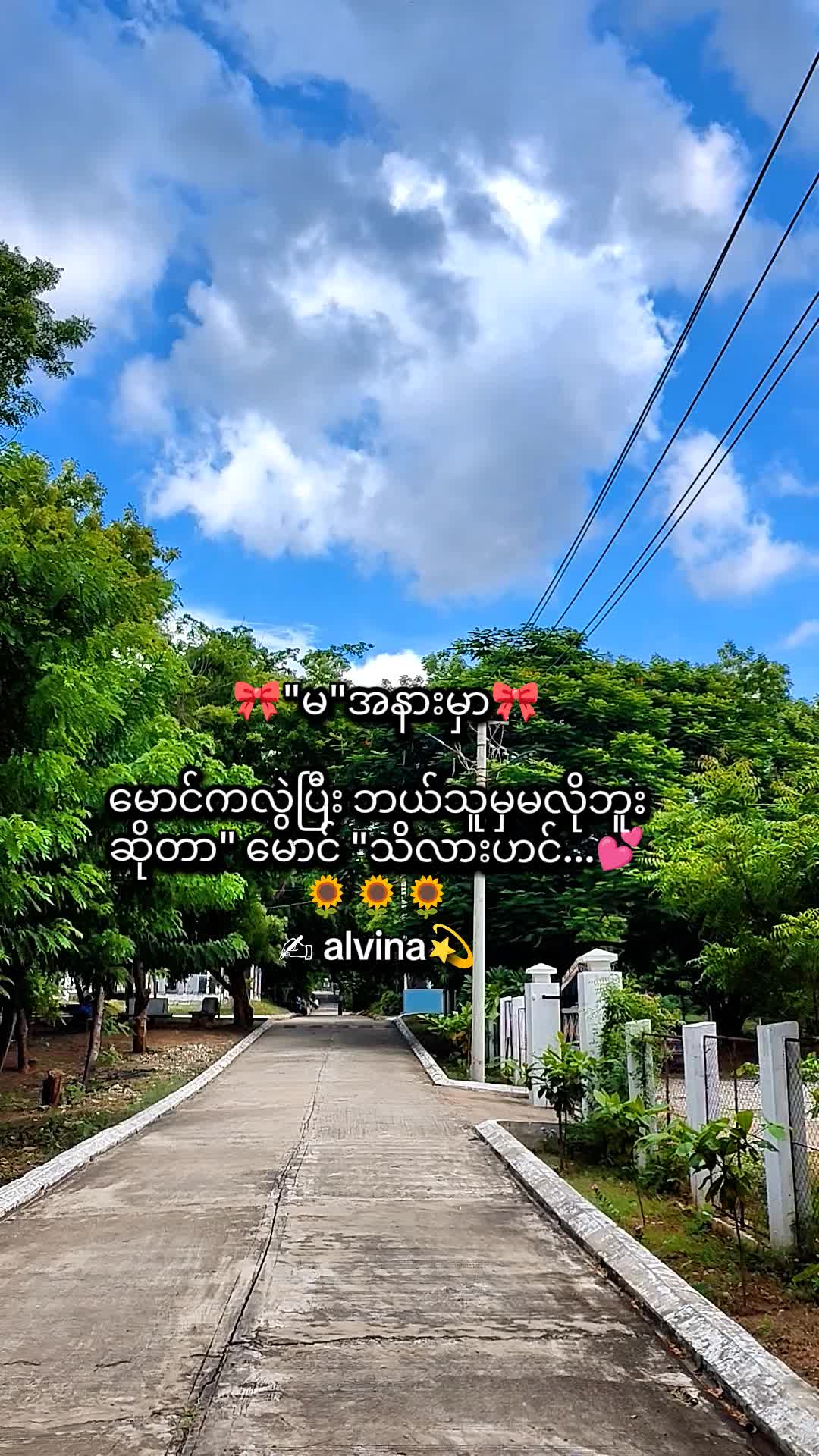 @🇯🇵 Alvina💫(အယ်ဗီနာ)💫🇯🇵