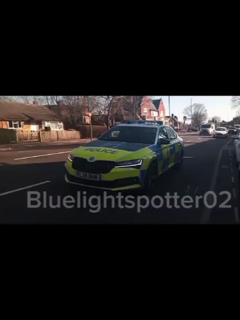 @blue light spotter02