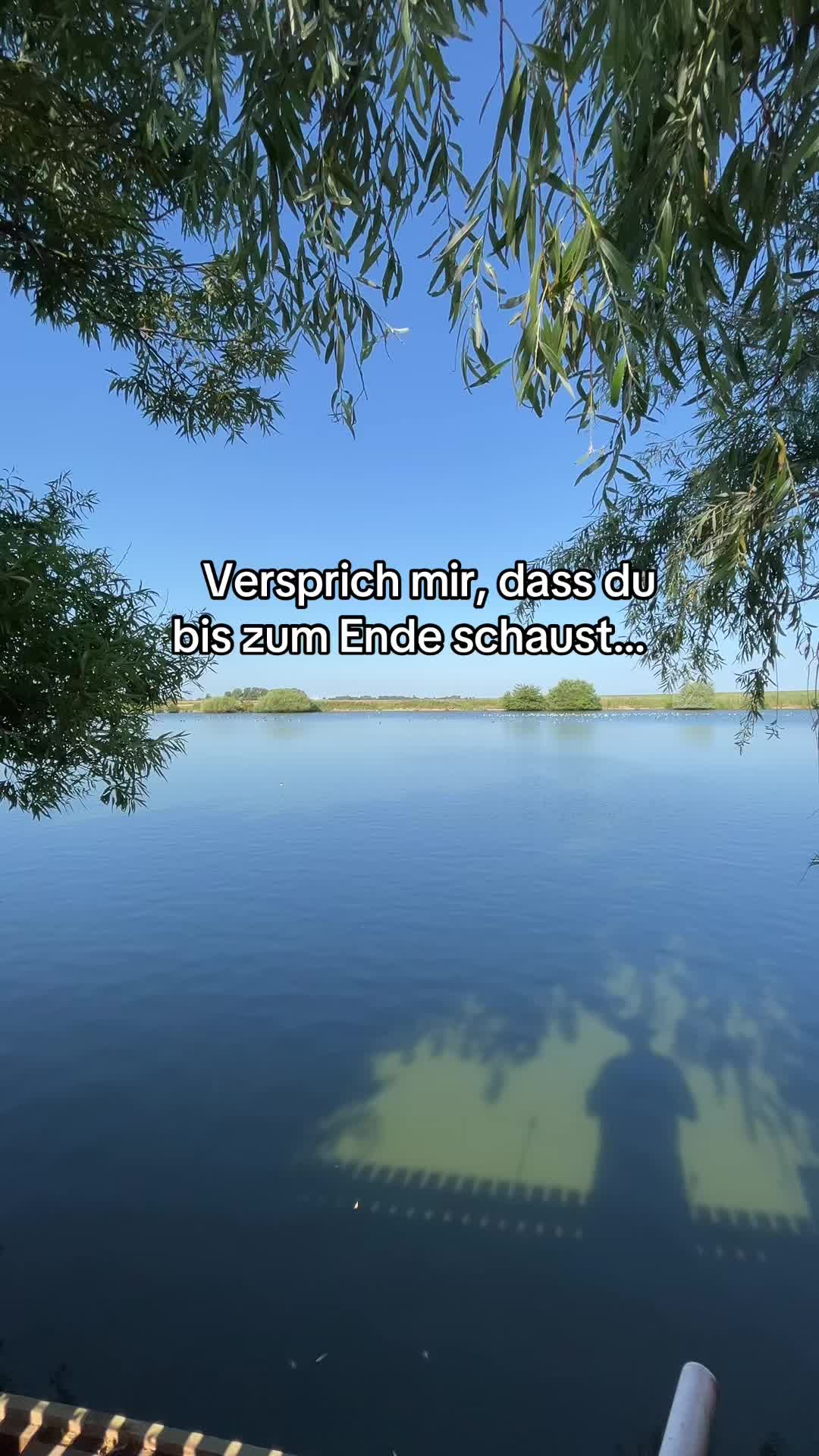 @𝐽♱۵