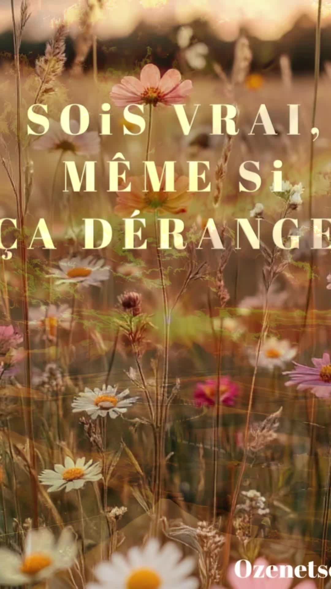 @✨️🧚&zwj;♀️ Lumi&egrave;re de Fae ✨️🧚&zwj;♀️