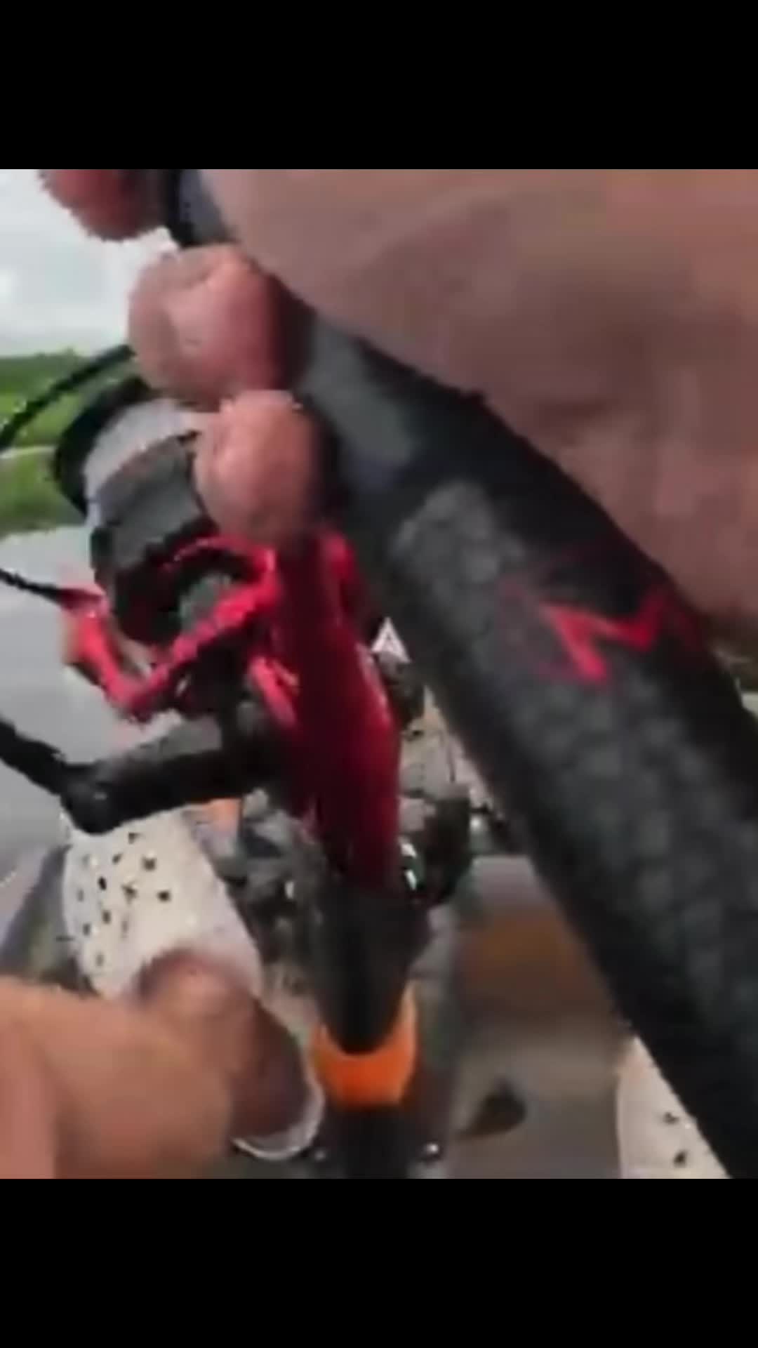 @wildbillfishing