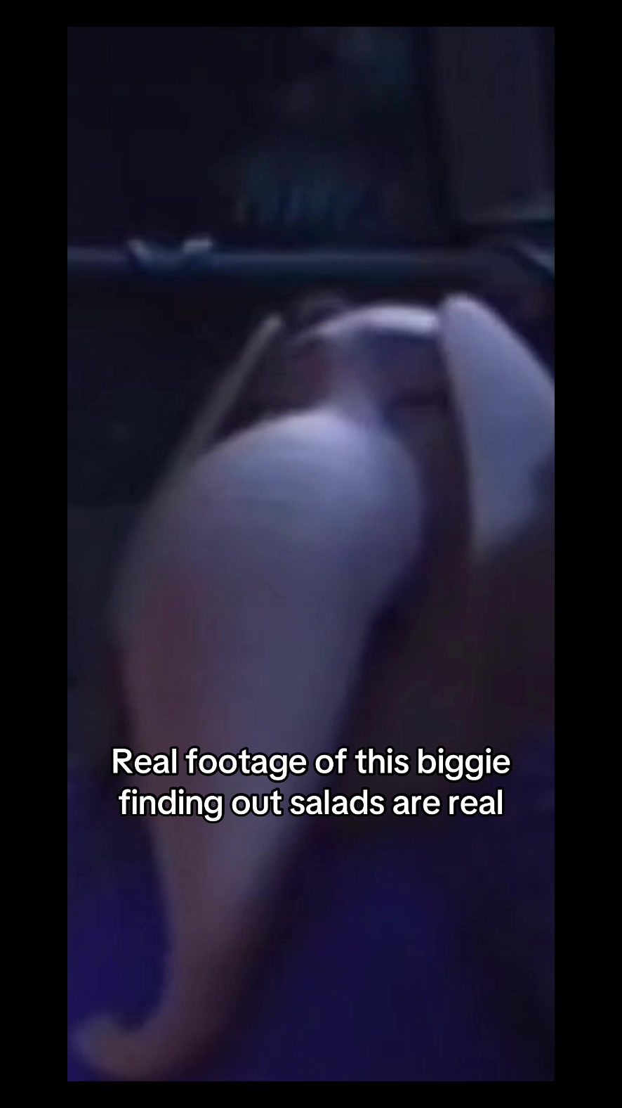 @Sing2hater