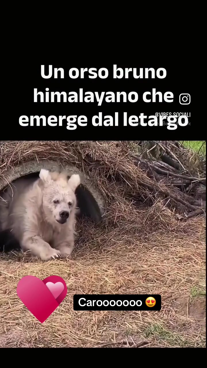@Rachele Tiengo