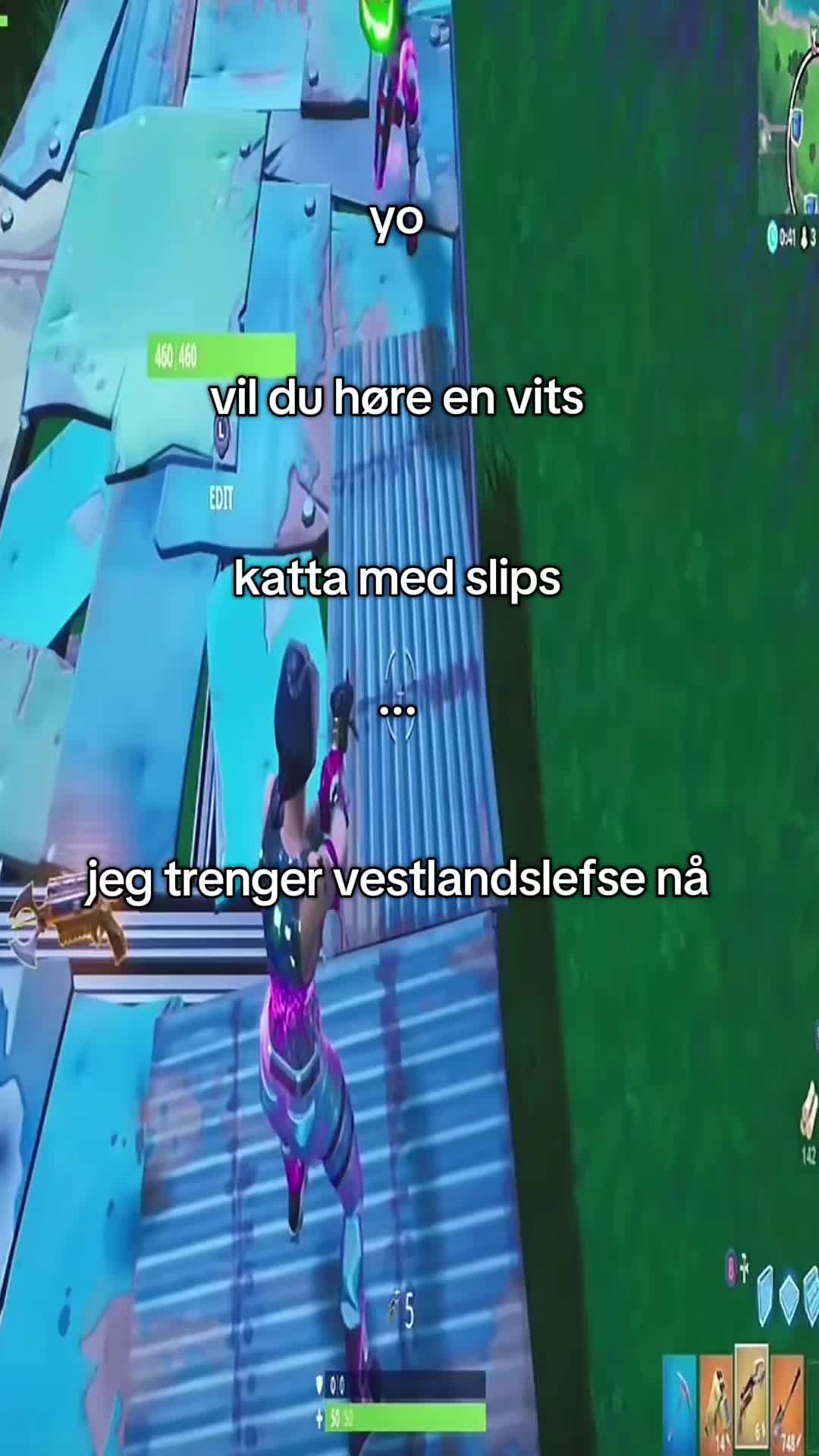 @vestlandslefselover