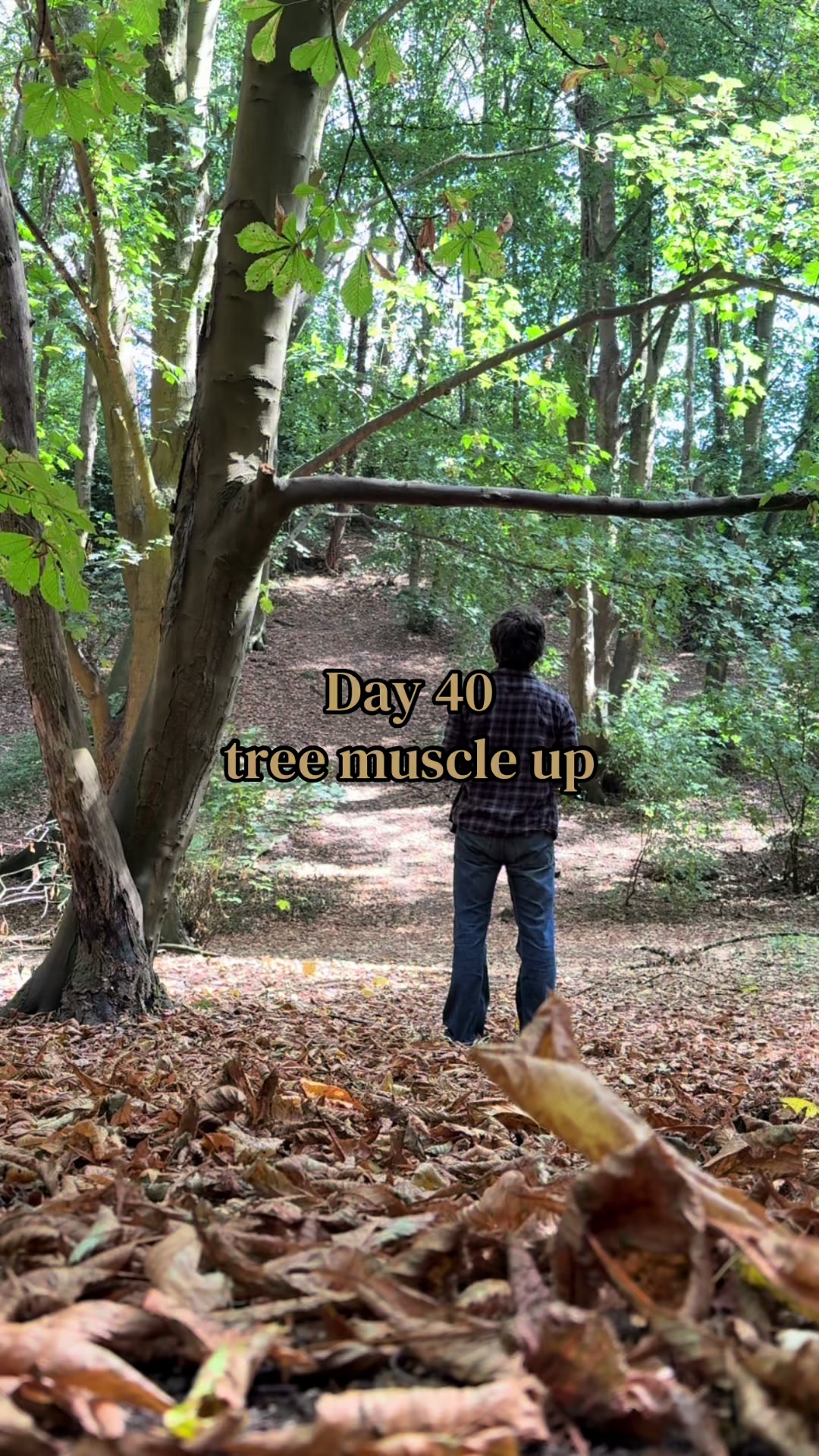 @xjsupremacy