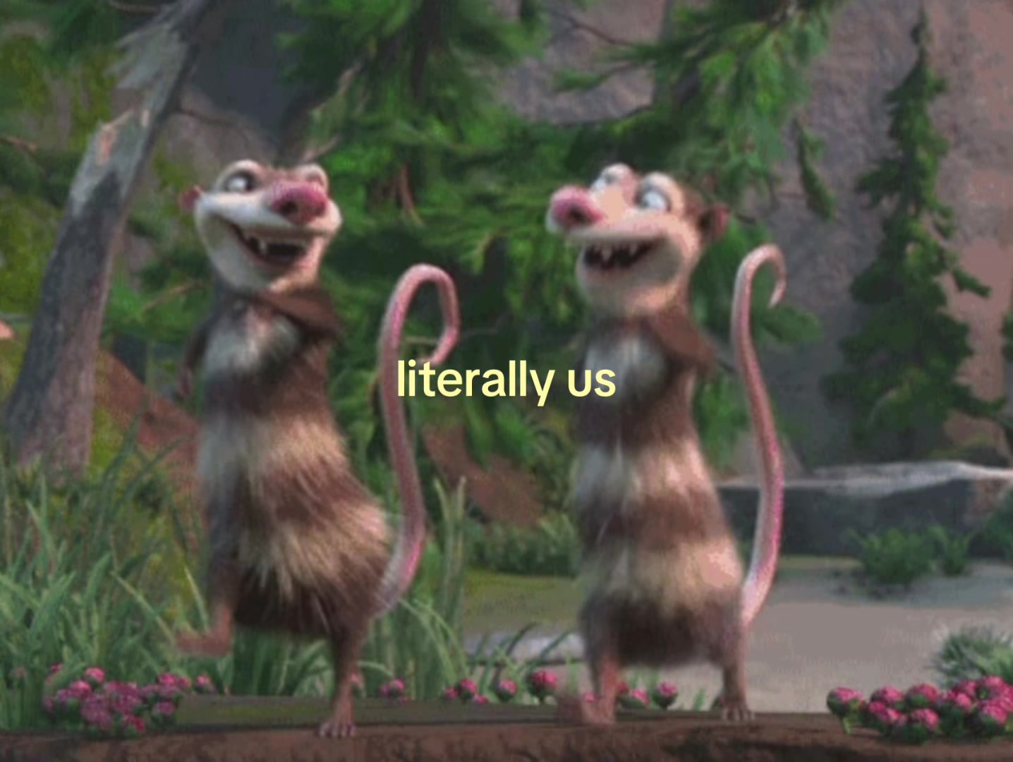 @🪽