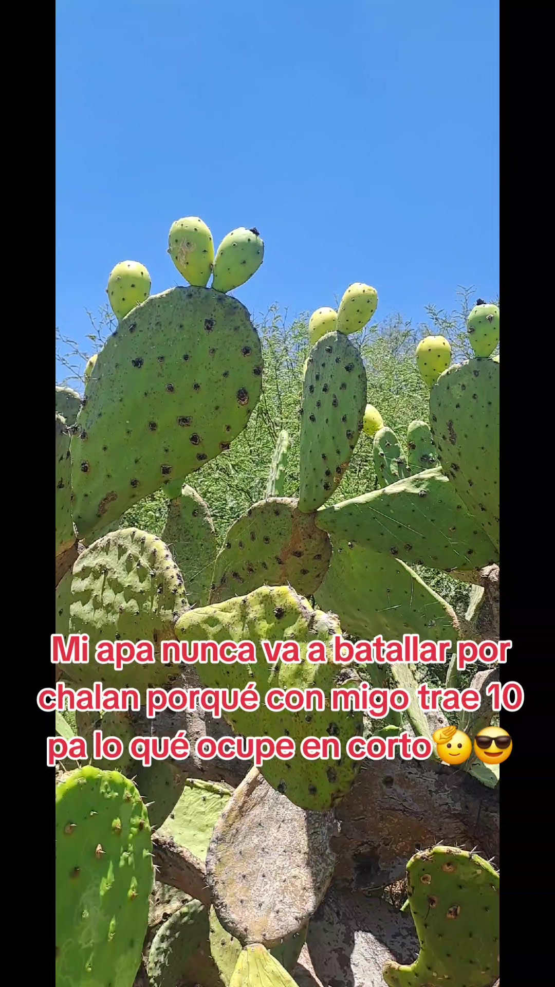 @La Flaka
