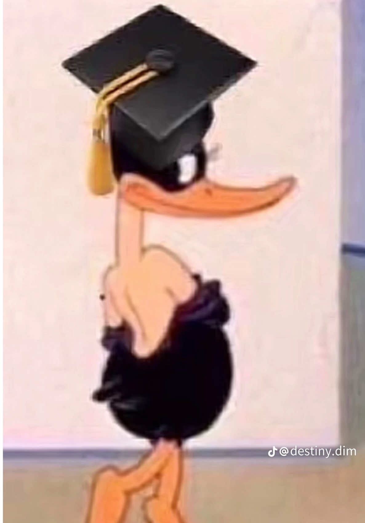 @𝓢𝓪𝓫𝓲🌸𝓰𝓾𝓻𝓵💕