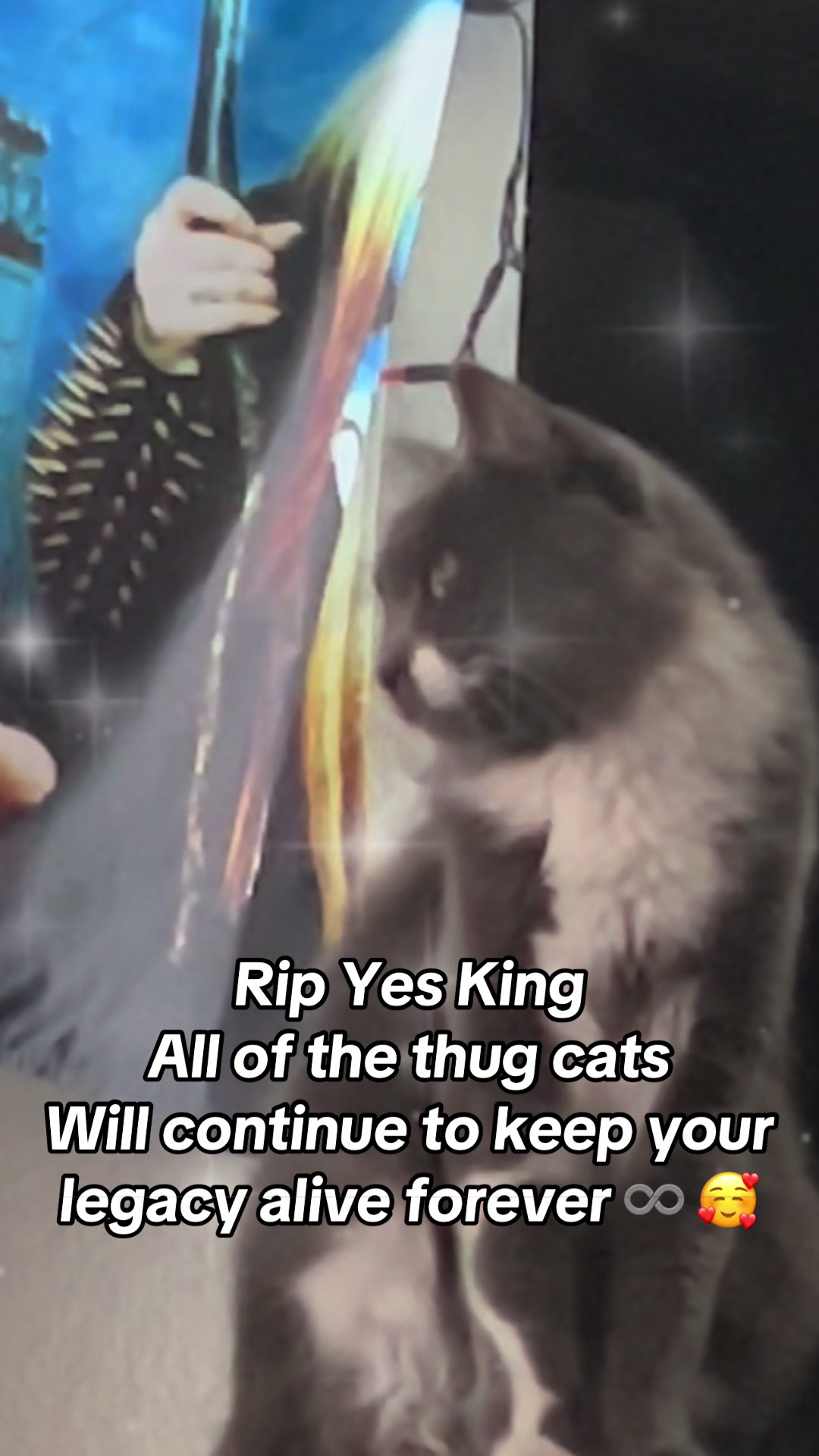 @fatplumpythugcat9000