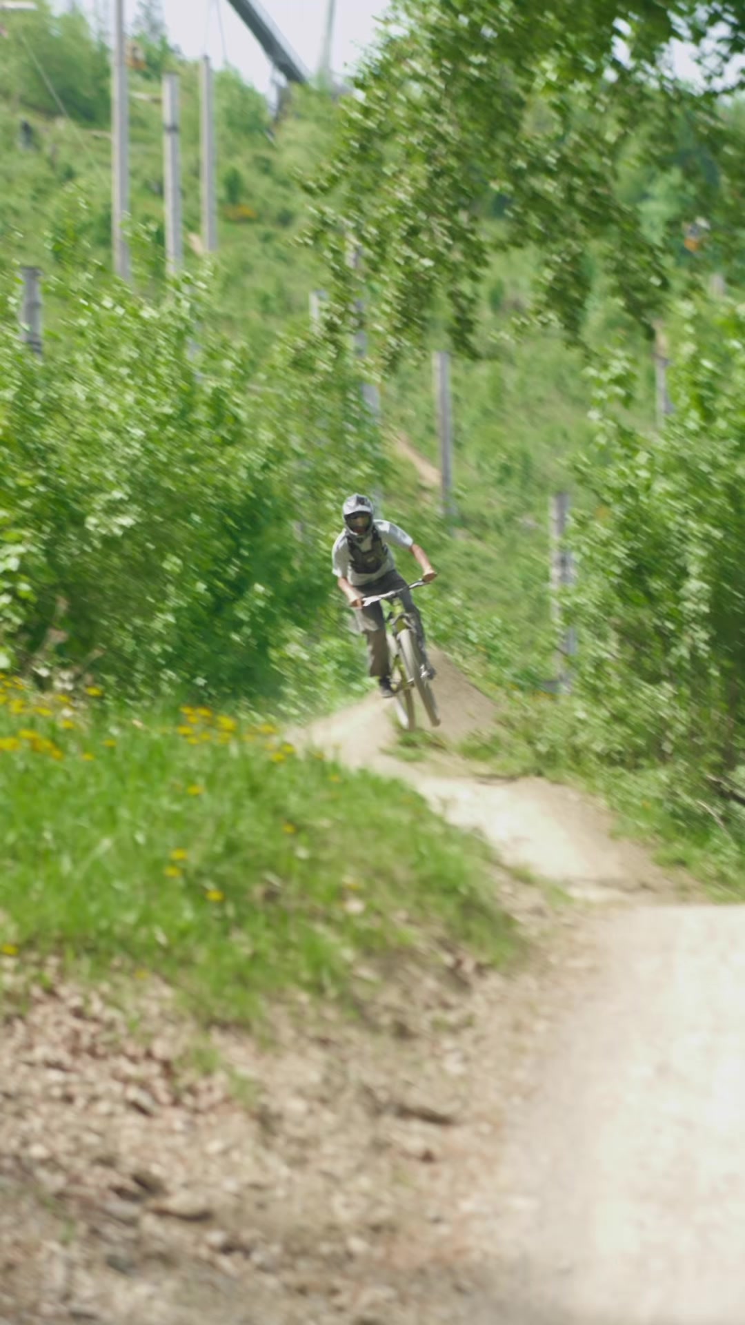 @Finn.On.Orbea